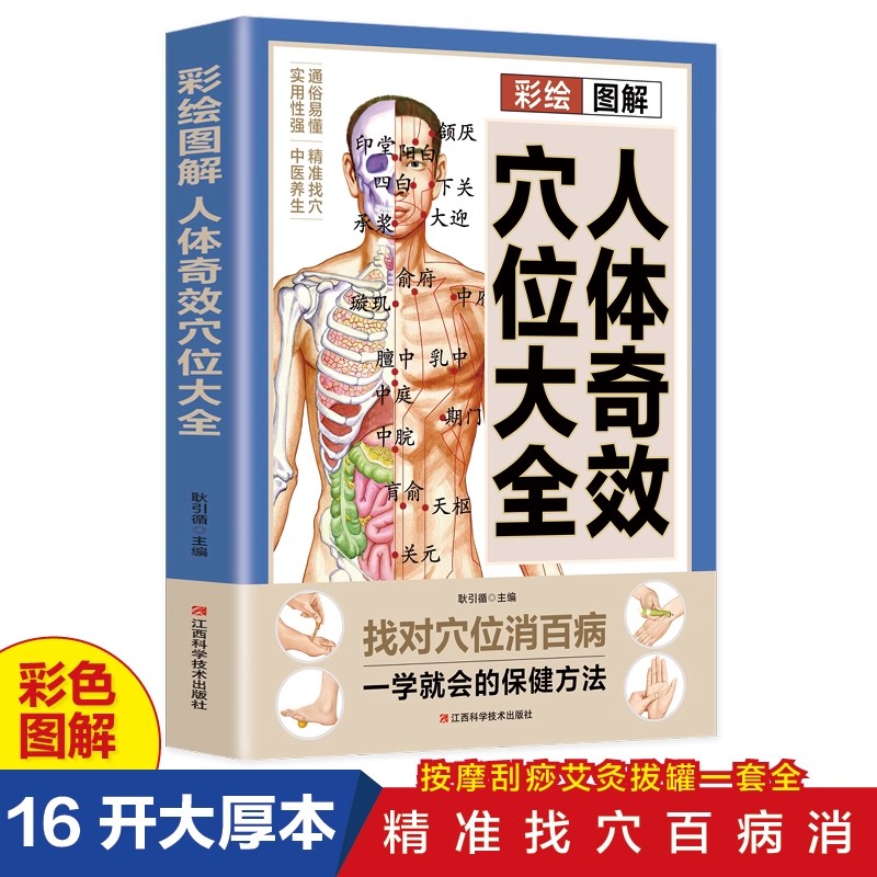 Health & Wellness U Of T - 경혈 마사지 및 TCM 건강 보존